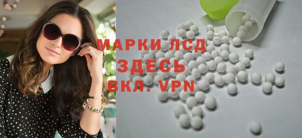 индика Аркадак