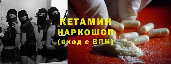 индика Аркадак