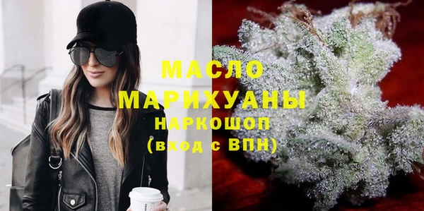 индика Аркадак