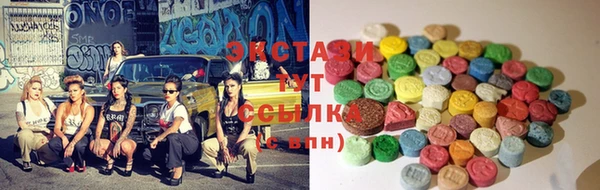 индика Аркадак