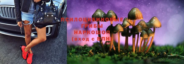 индика Аркадак
