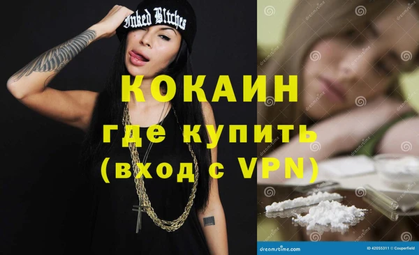 индика Аркадак